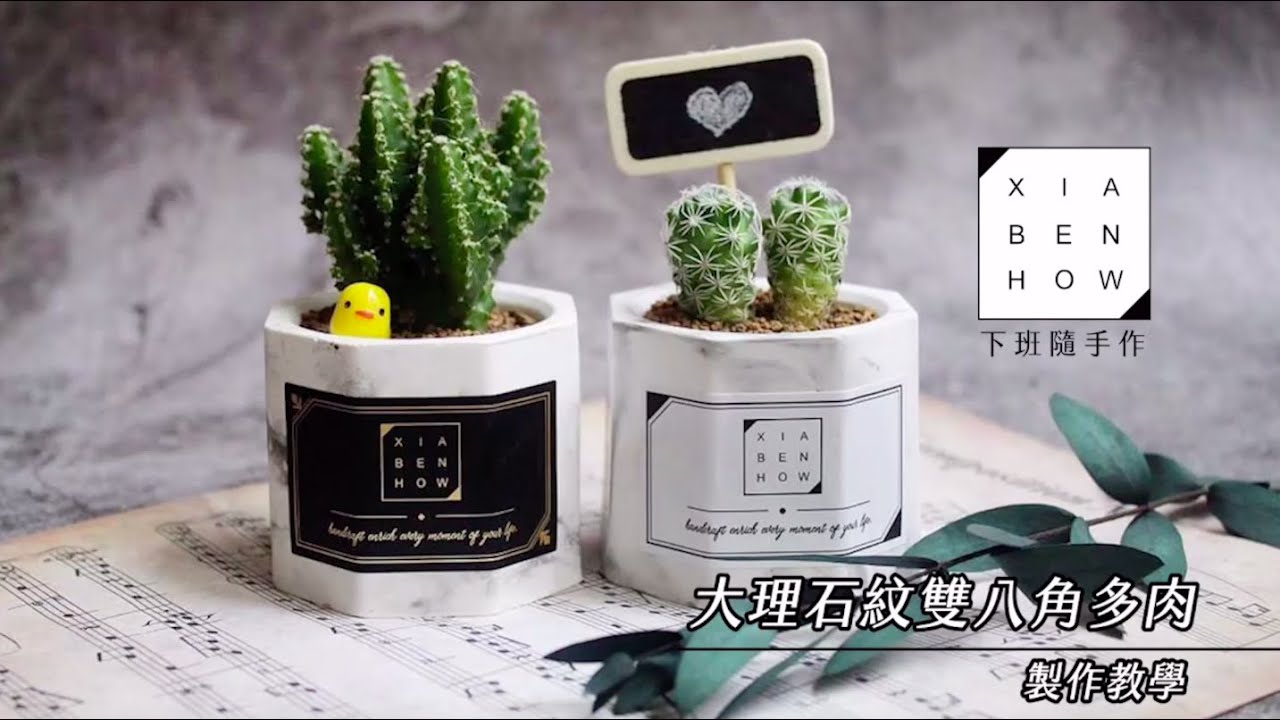 Video Thumbnail: 手作DIY材料包 | 大理石紋雙八角盆多肉【教學介紹】